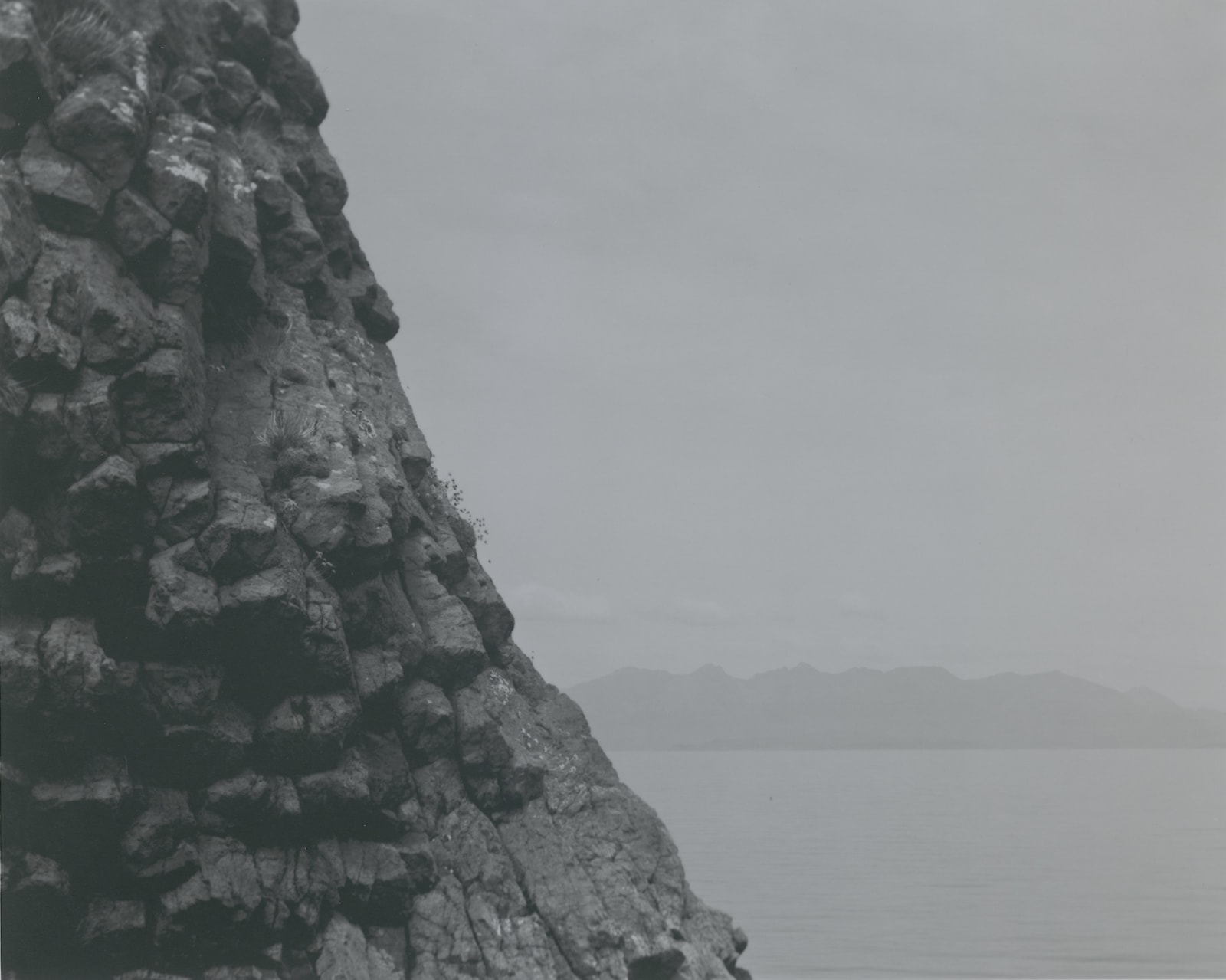 Steve Macleod, Indigo 20, 2019