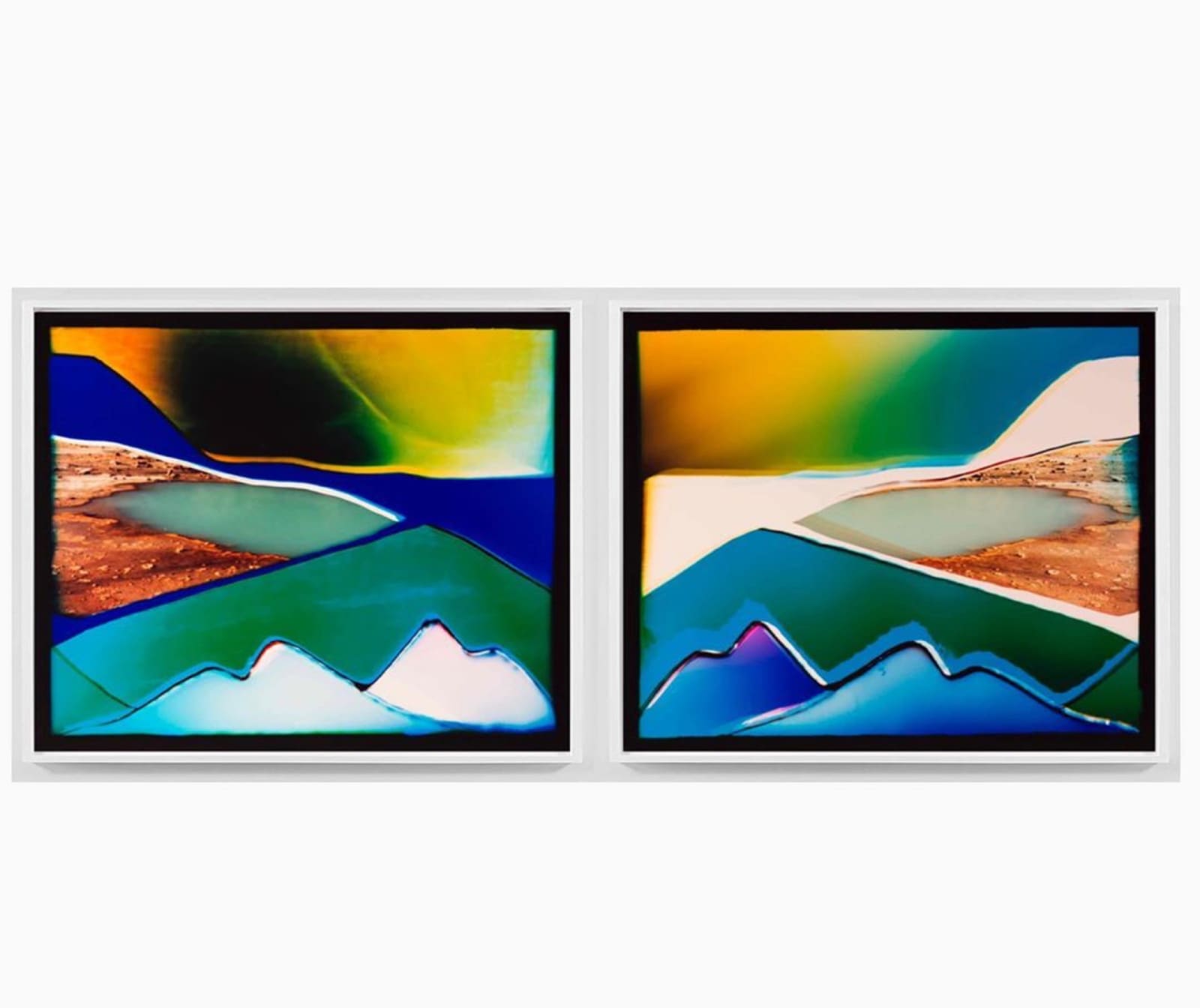 Liz Nielsen, Oasis I, 2019