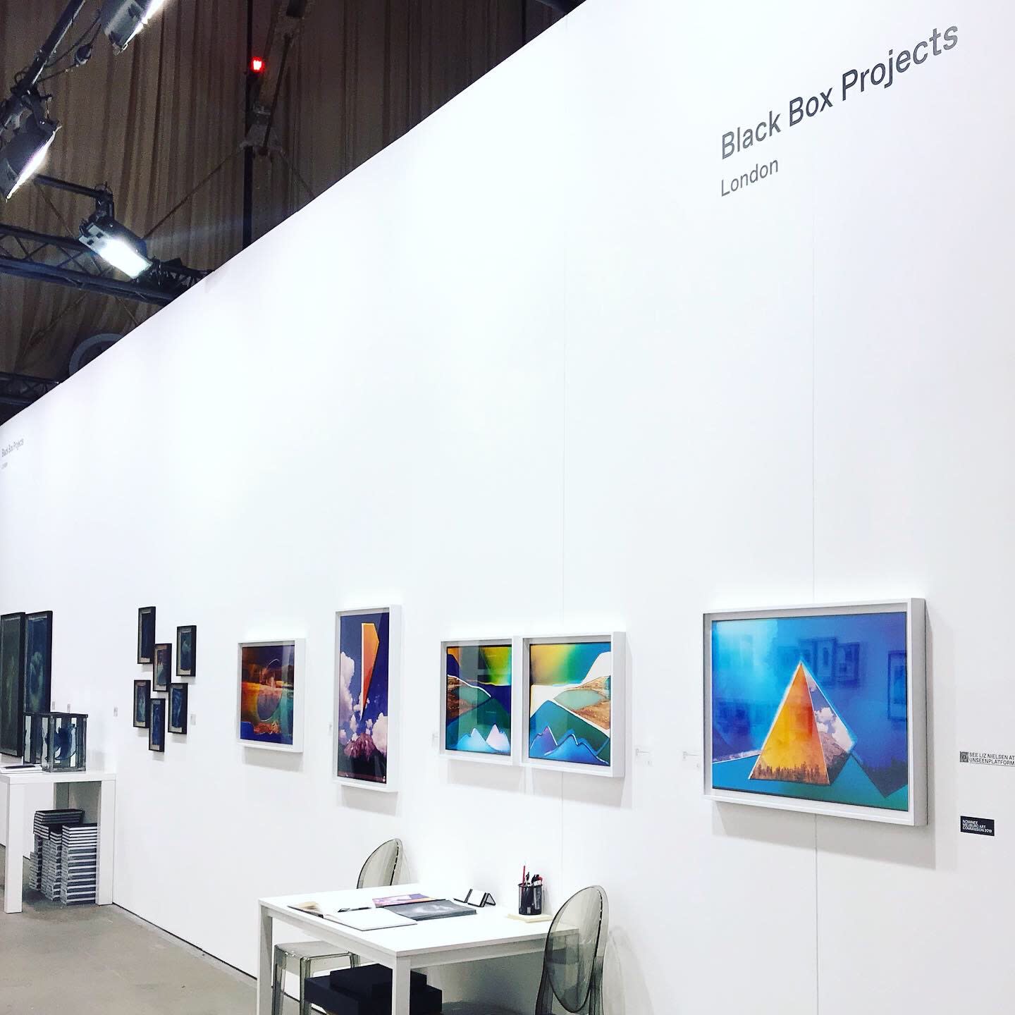 Liz Nielsen, Oasis II, 2019