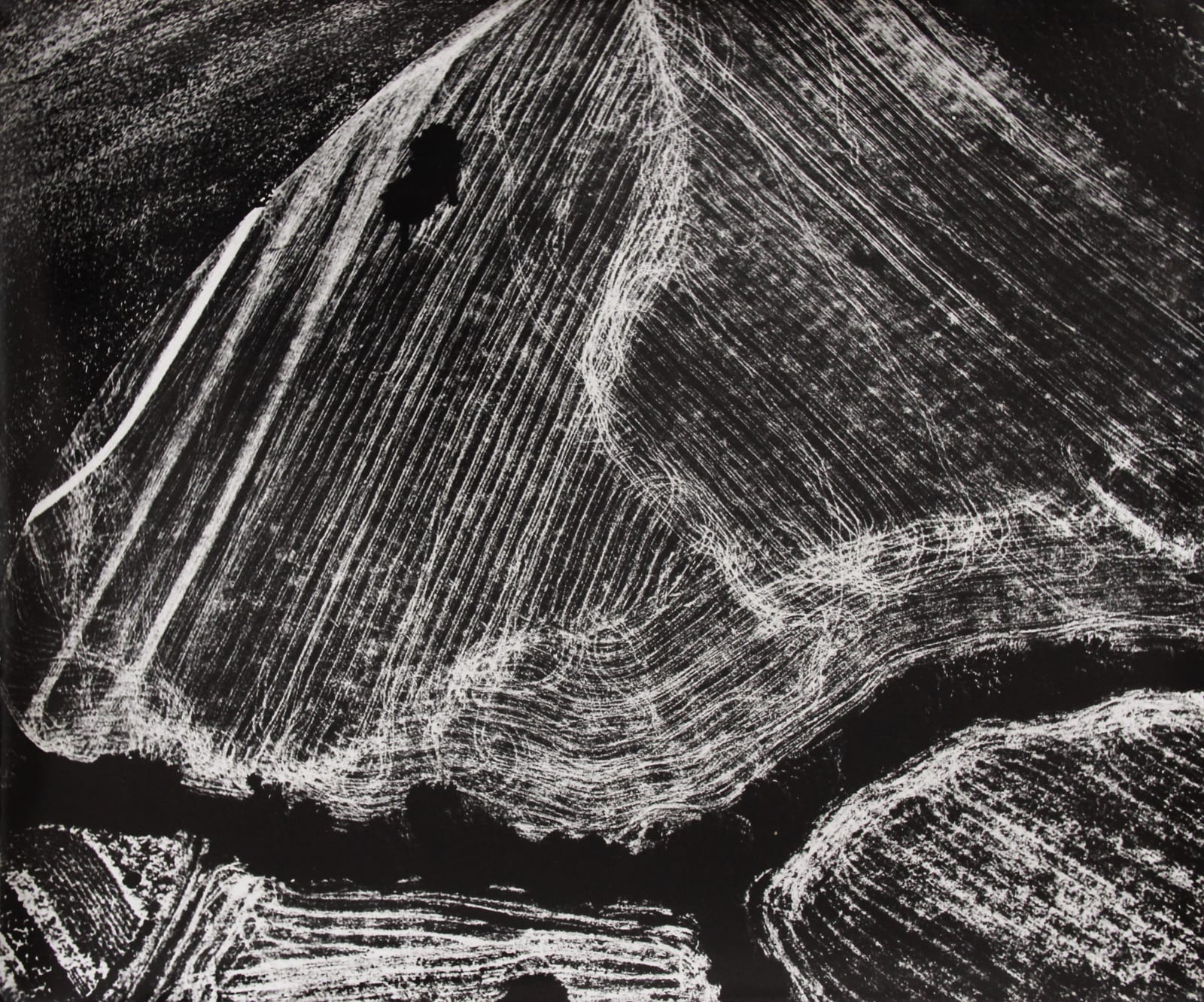 Mario Giacomelli, Presa di coscienza sulla natura (Epiphany about nature), 1976 / 80