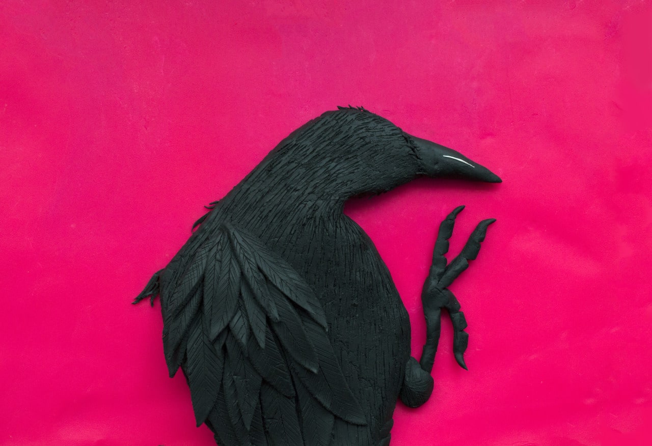 Eleanor Macnair, Erimo Cape, 1976, from ‘Solitude of Ravens’ by Masahisa Fukase , 2016