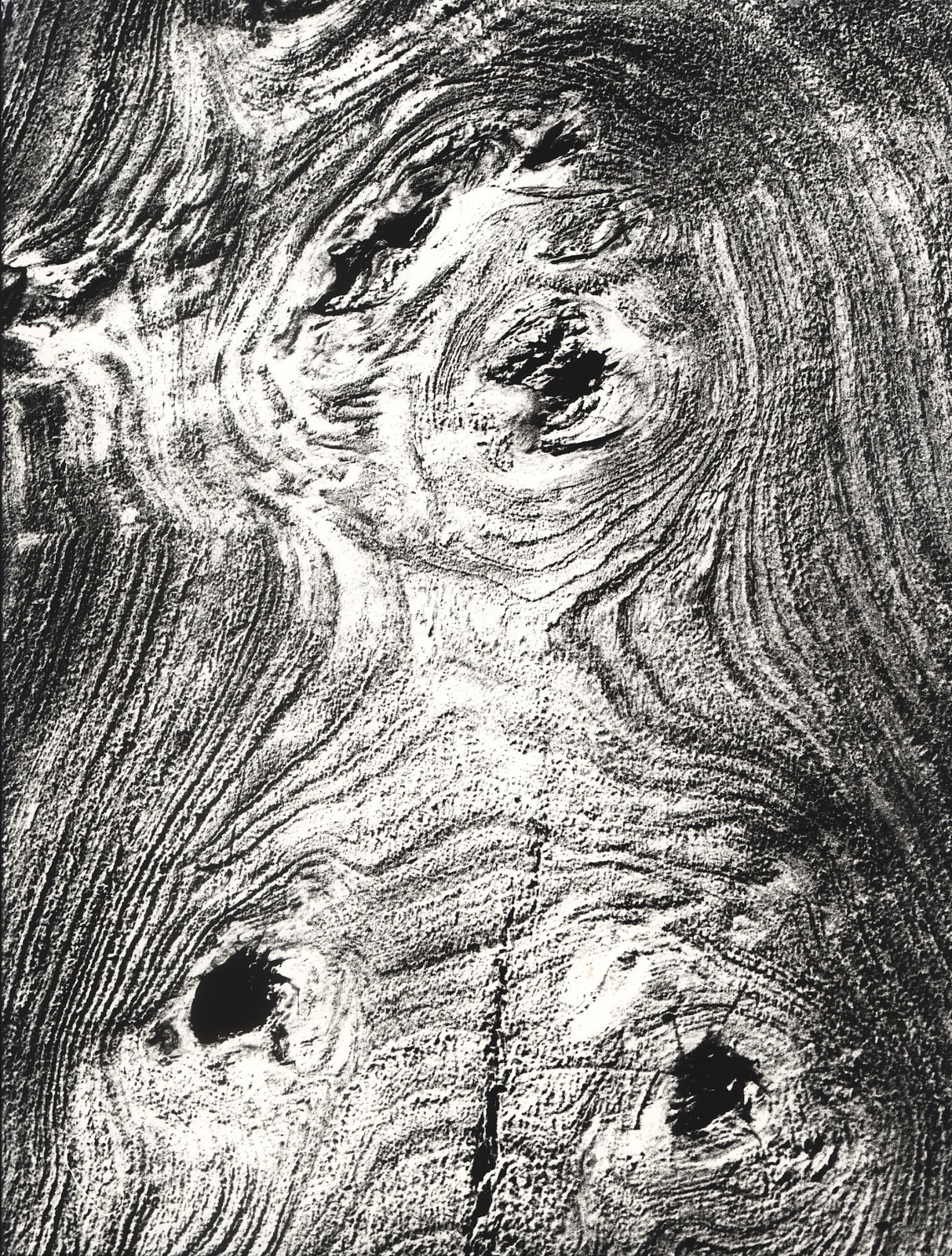 Mario Giacomelli, Motivo suggerito dal taglio dell’albero (Motif suggested by the cut of the tree), 1966 / 68