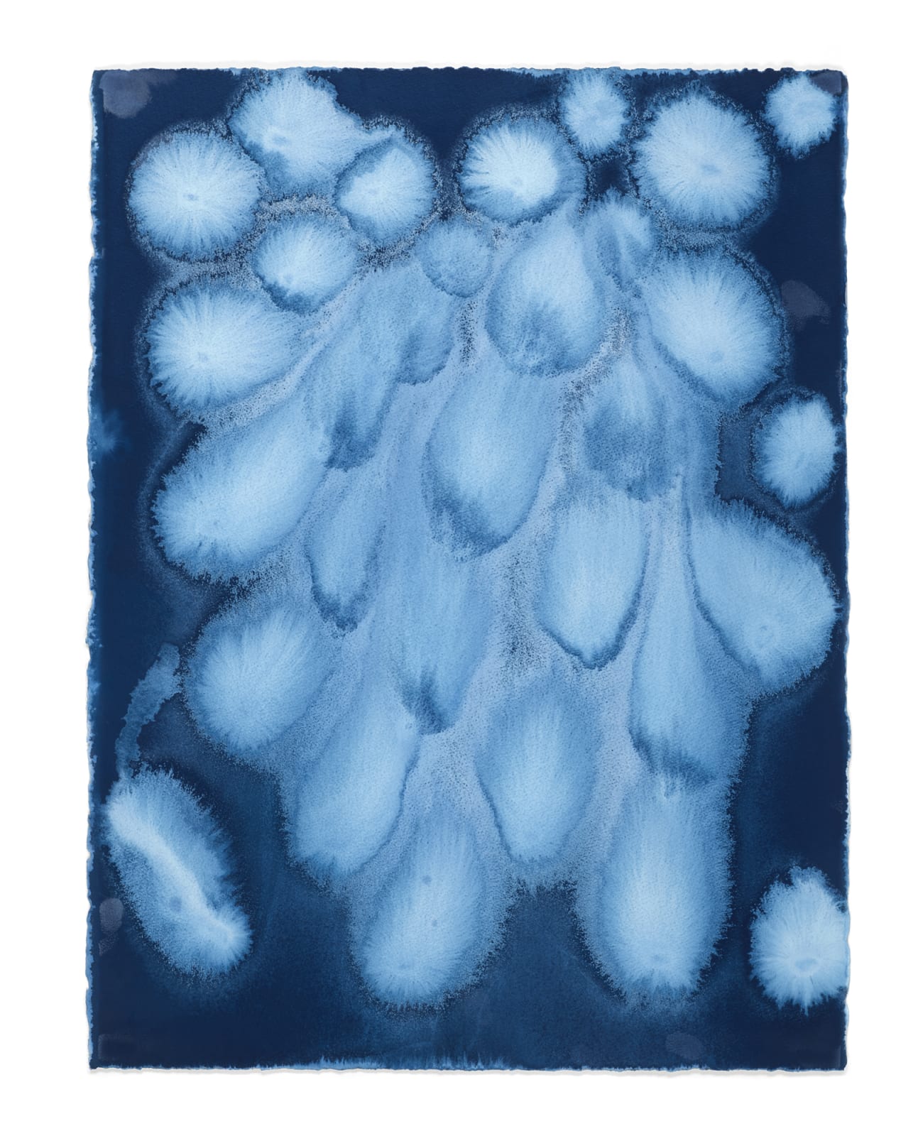 Timo Lieber, C-Blue #14, 2018