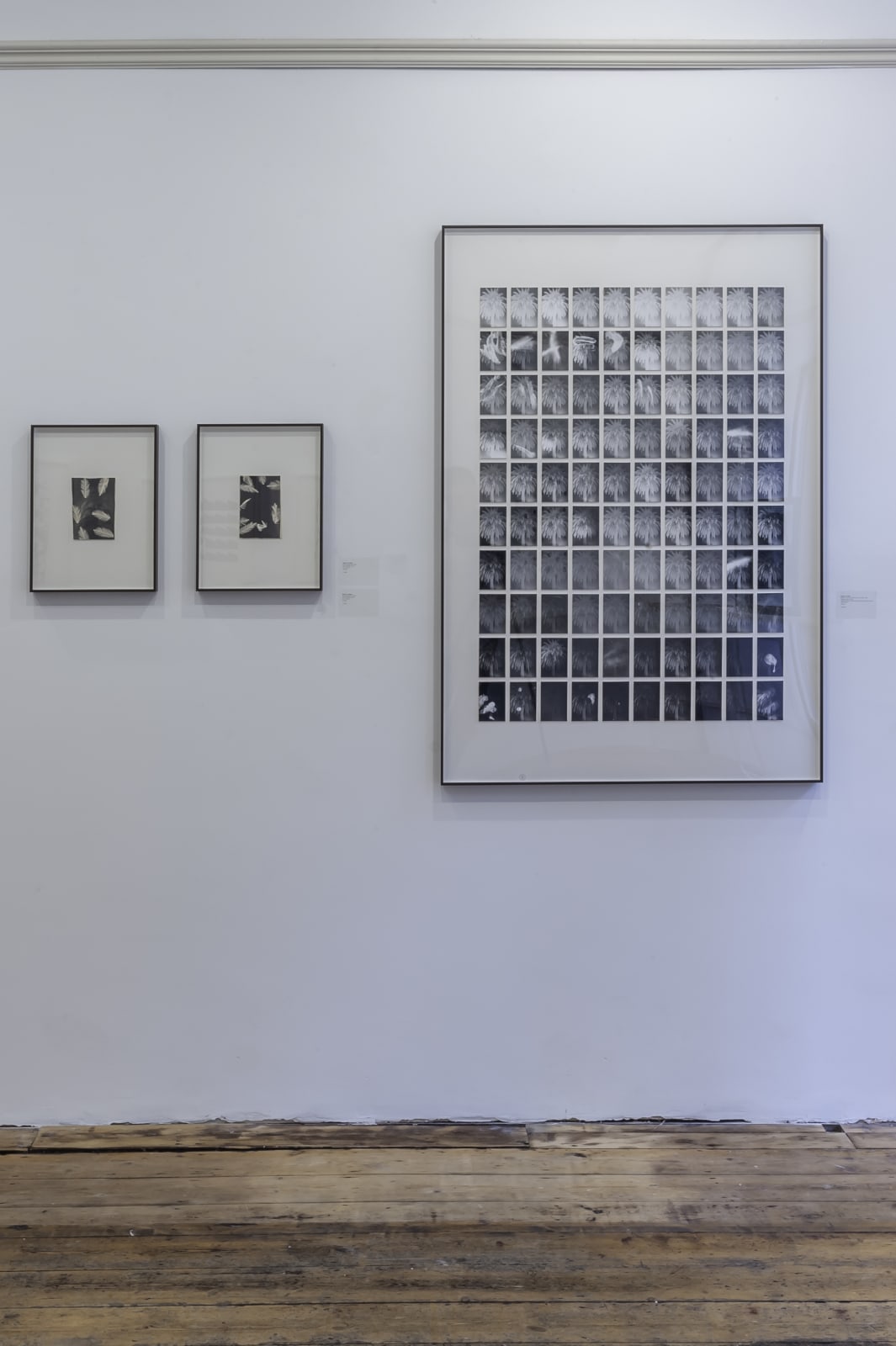 Bruno V. Roels, A Palm Tree Is A Palm Tree Is A Palm Tree (Night Giant), 2015