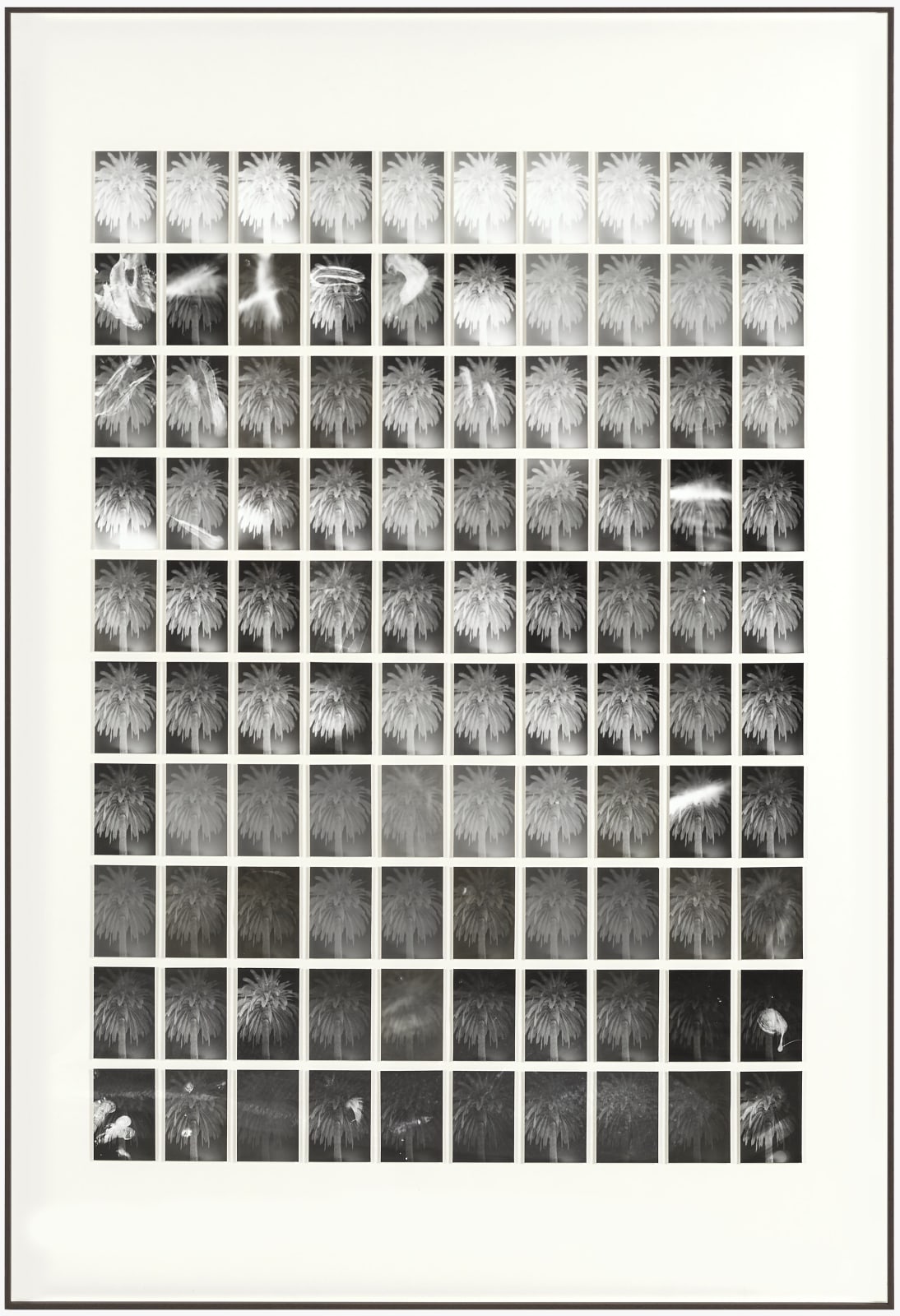 Bruno V. Roels, A Palm Tree Is A Palm Tree Is A Palm Tree (Night Giant), 2015