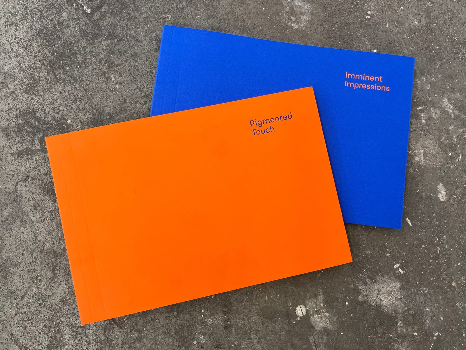 Victoria Marques Pinto, Pigmented Touch, 2023