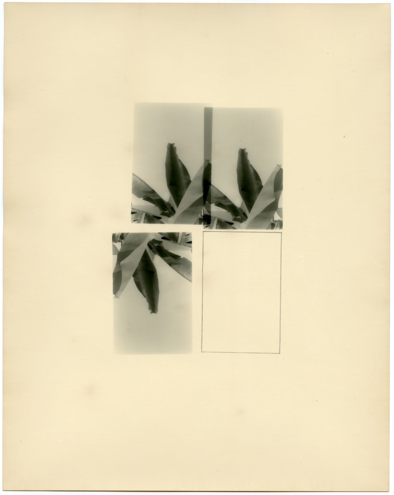 Bruno V. Roels, Breaking Promises, 2018