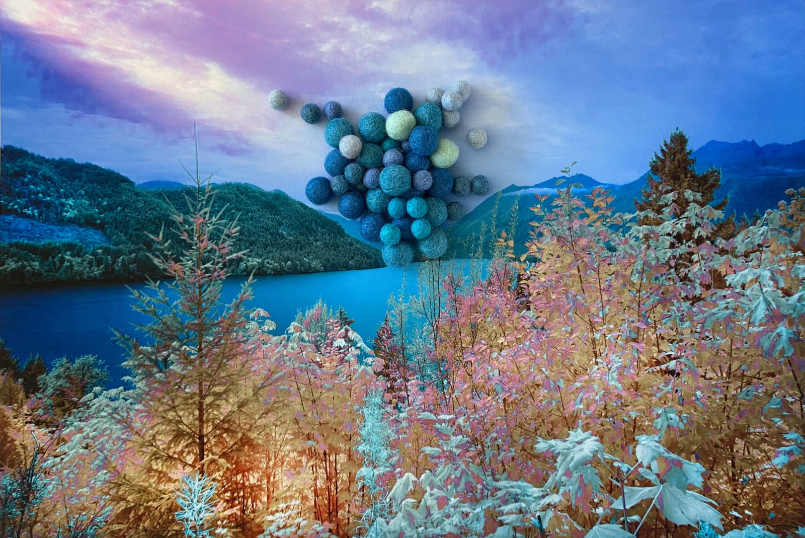 Adriene Hughes, The Secret Life of Trees II, Image #06, 2021