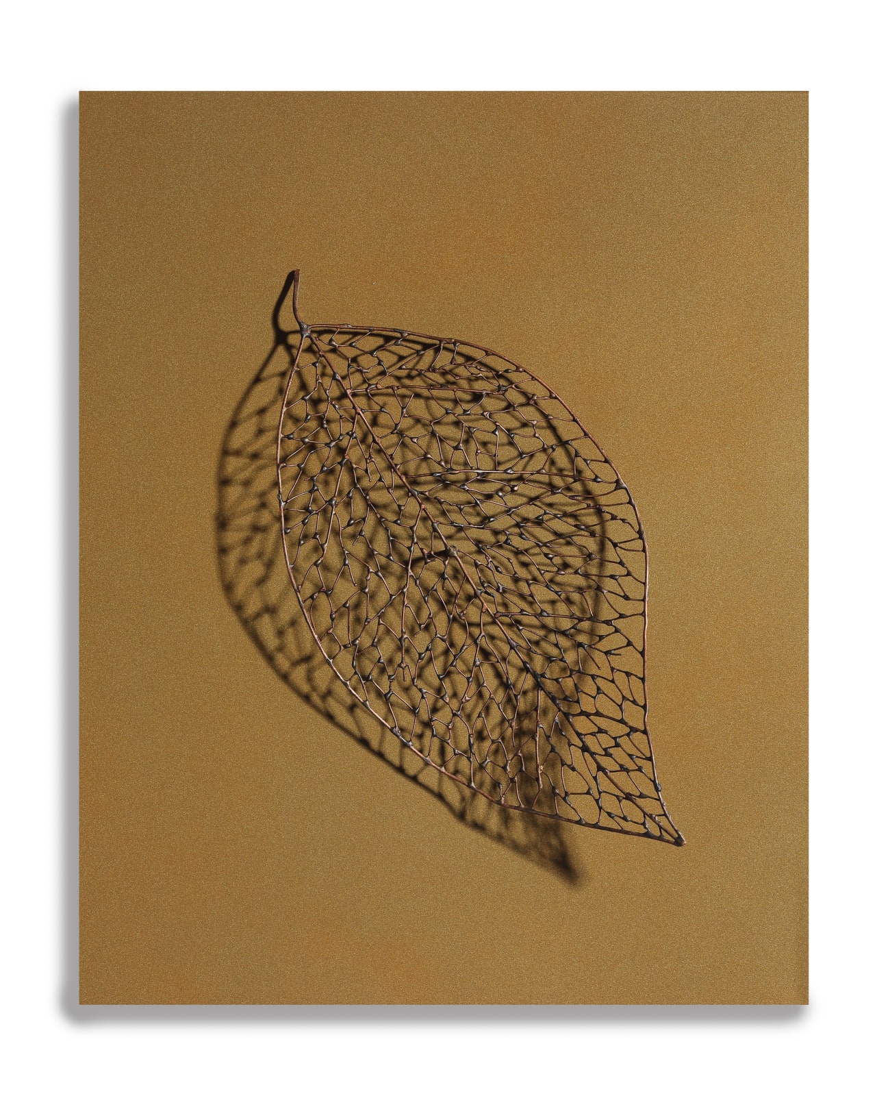Byungjin Kim, Double Drawing (190302), 2019
