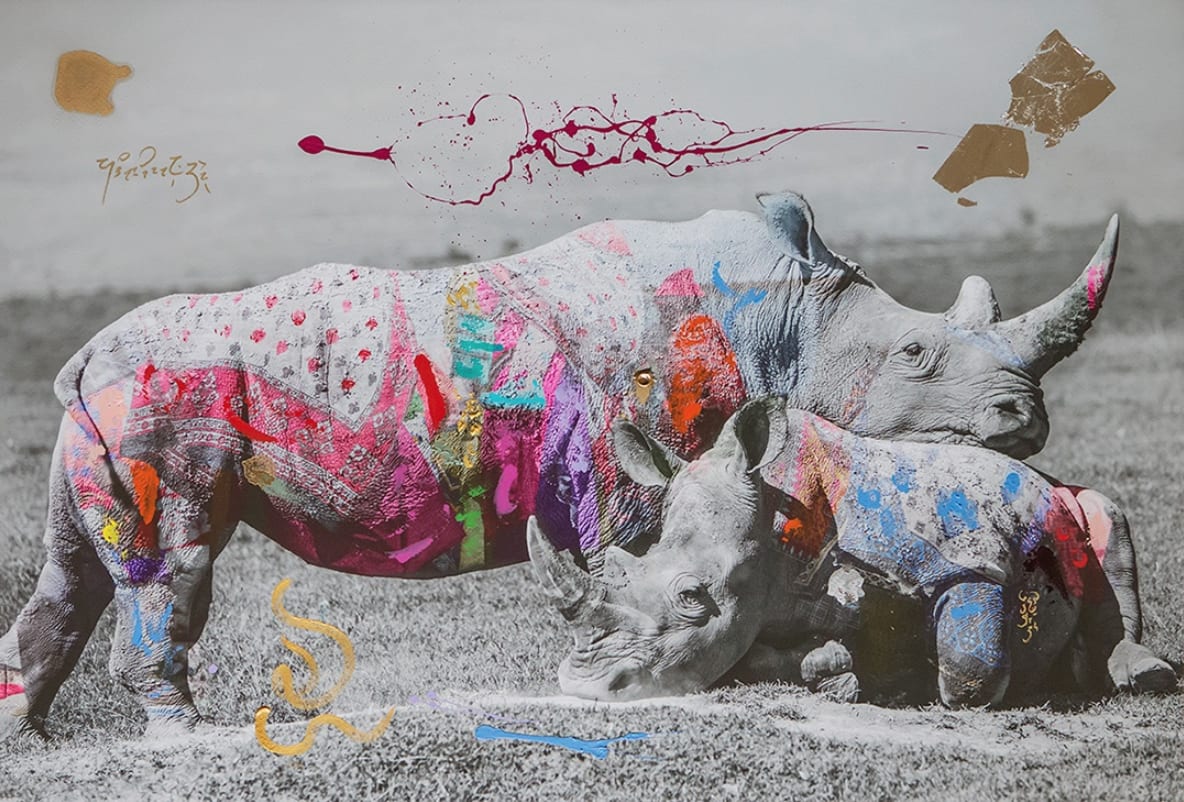 Arno Elias, Rhino Love