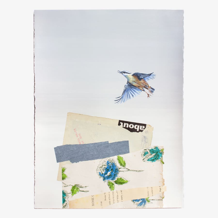 Lauren Matsumoto, p50