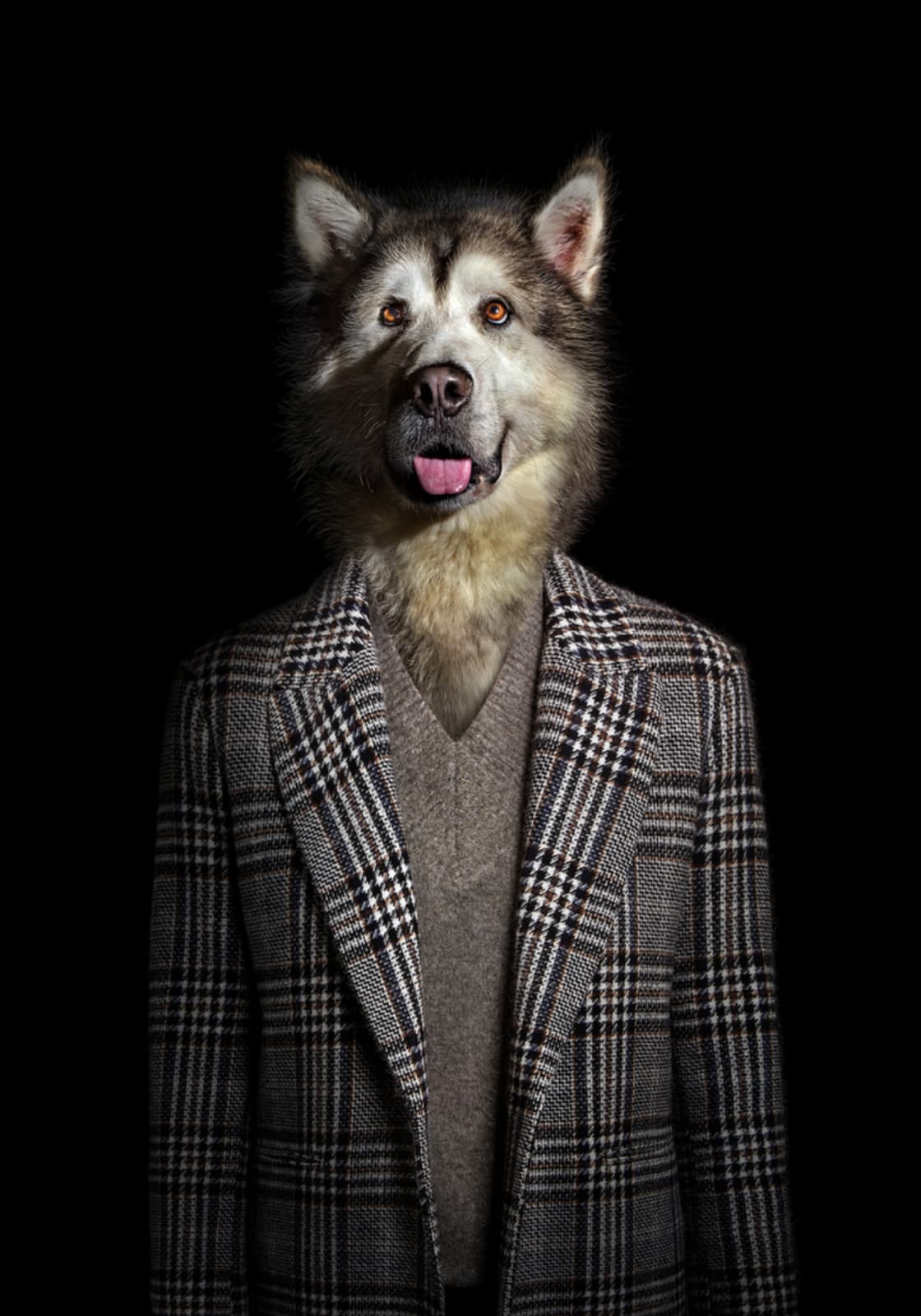 Miguel Vallinas, No. 2 (Shopie)