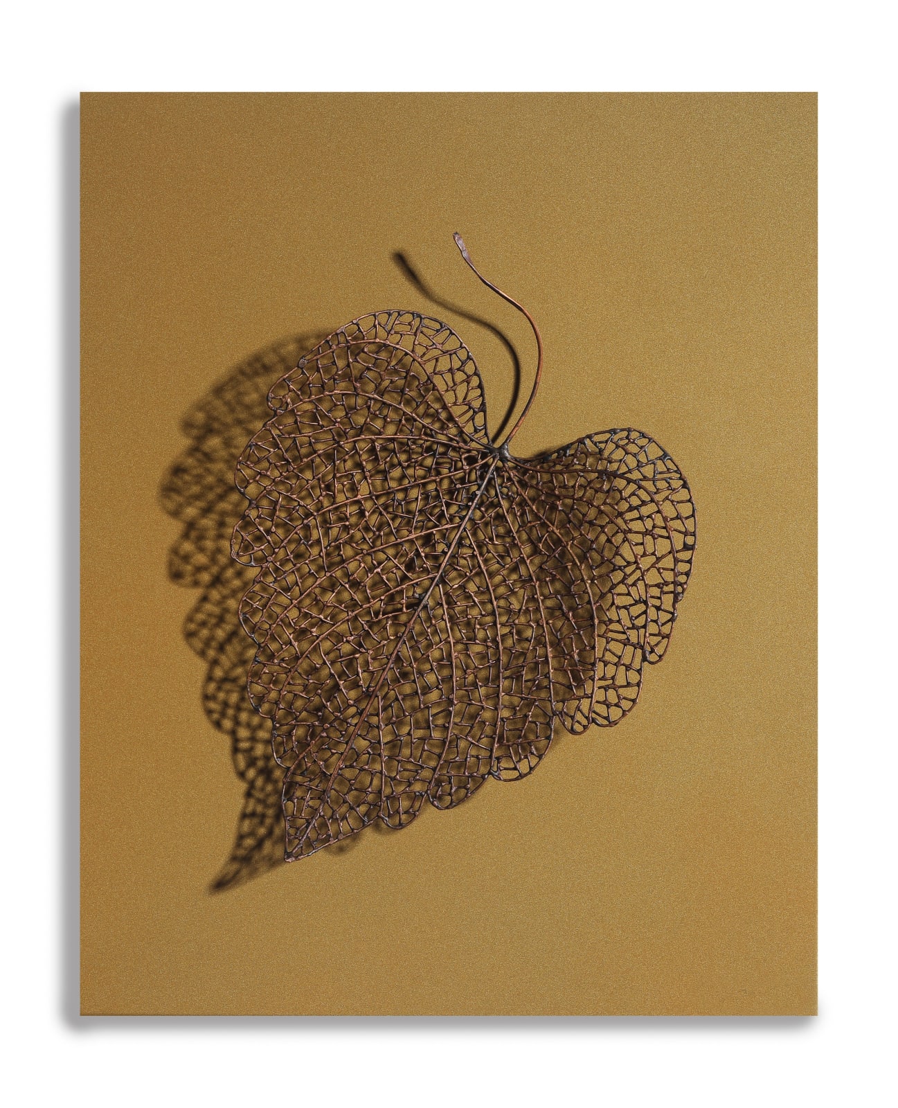 Byungjin Kim, Double Drawing (190312), 2019