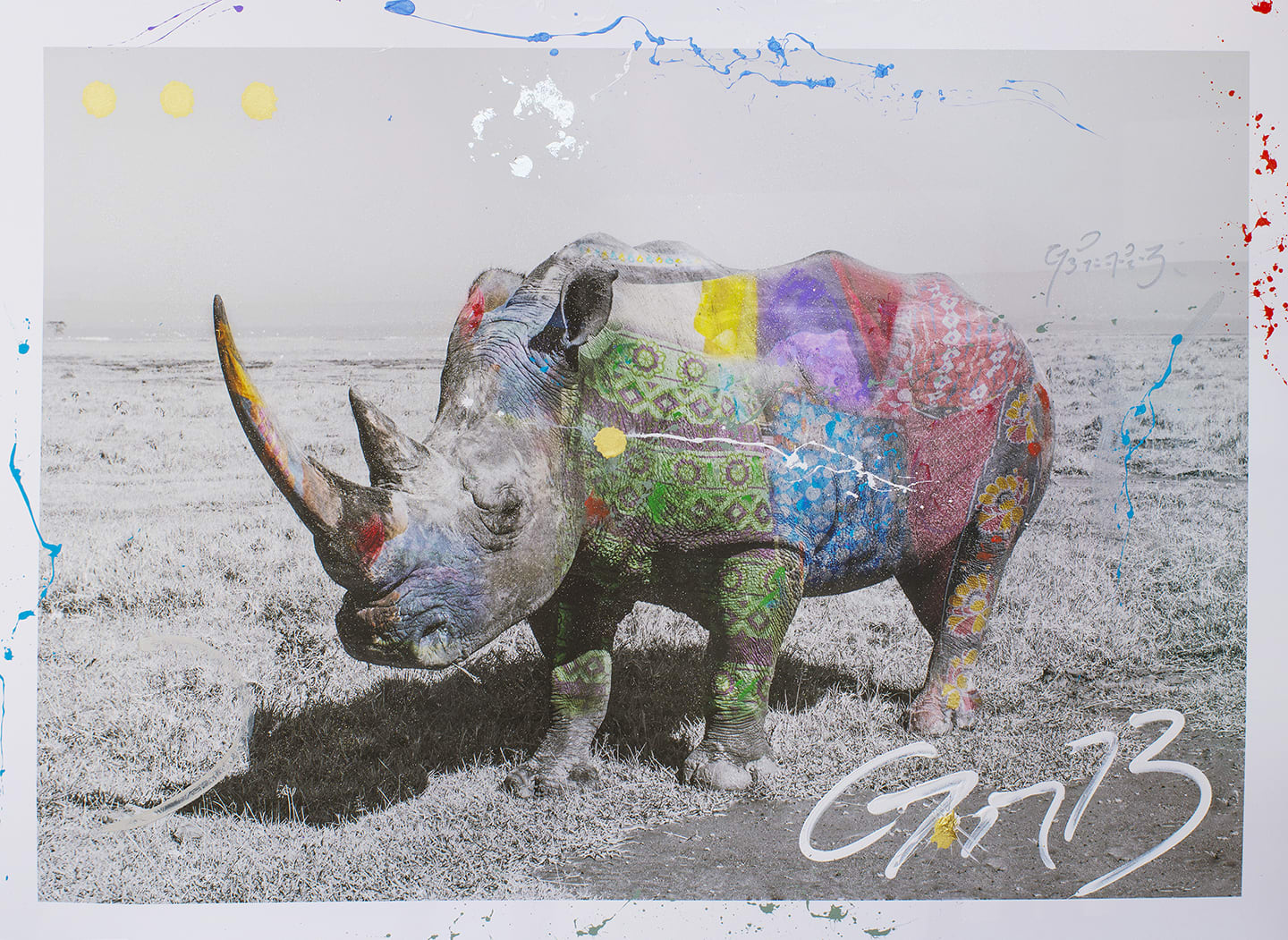Arno Elias, Rhinoceros