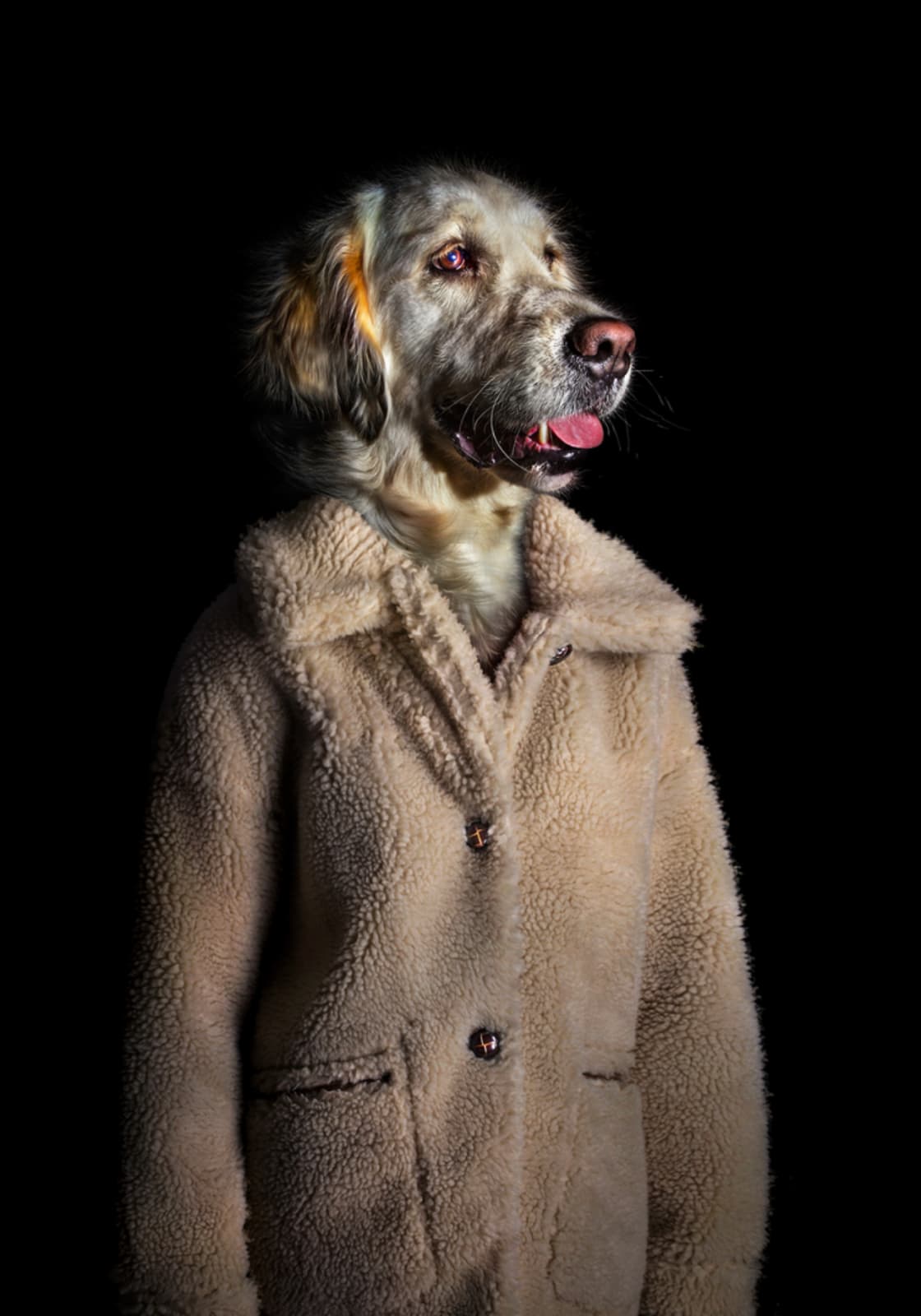 Miguel Vallinas, No. 12 (Maika)
