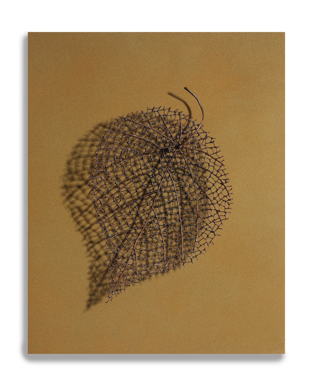 Byungjin Kim, Double Drawing (190308), 2019
