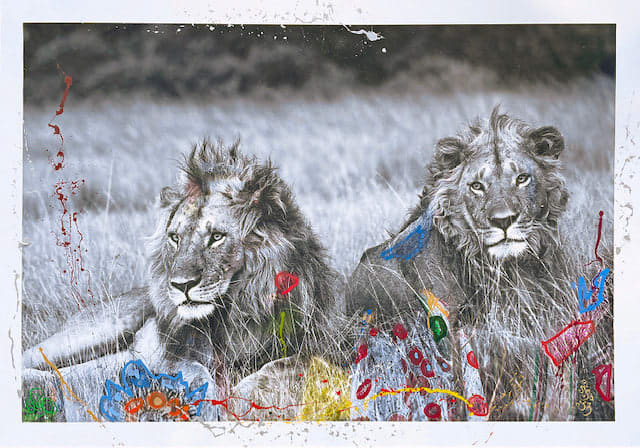 Hand-embellished archival print mixed media photography