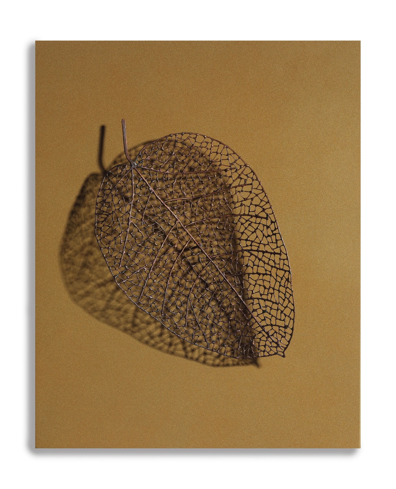 Byungjin Kim, Double Drawing (190307), 2019