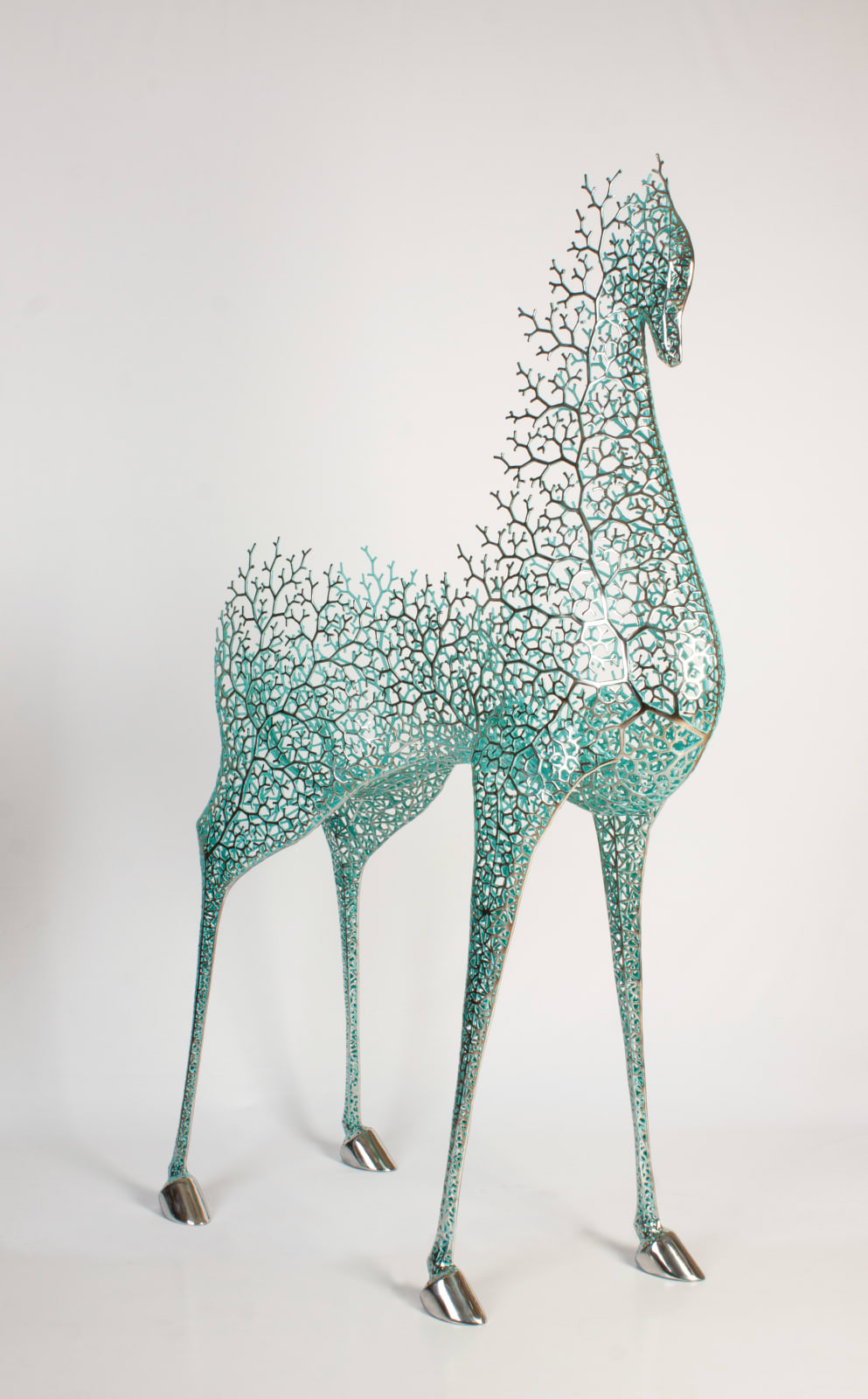 Kang Dong Hyun, The Forest of Coexistence 23-2, 2023