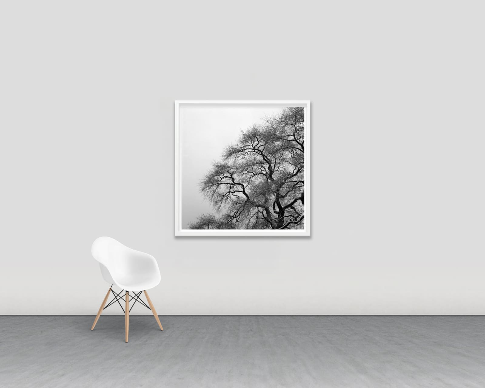Woongchul An, Winter Tree, Korea