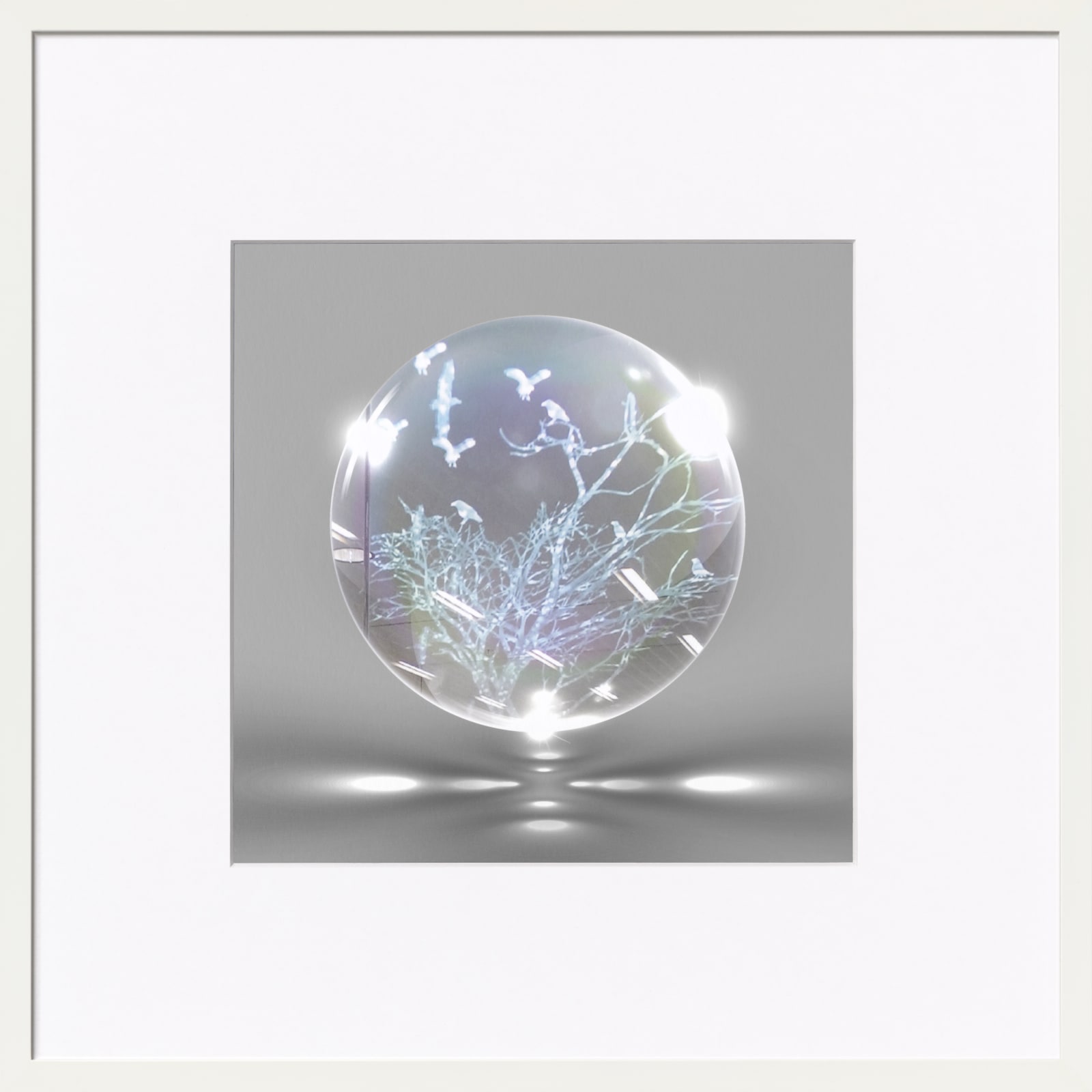 Hayoun Won, Eco Tree for Future Office, 2012