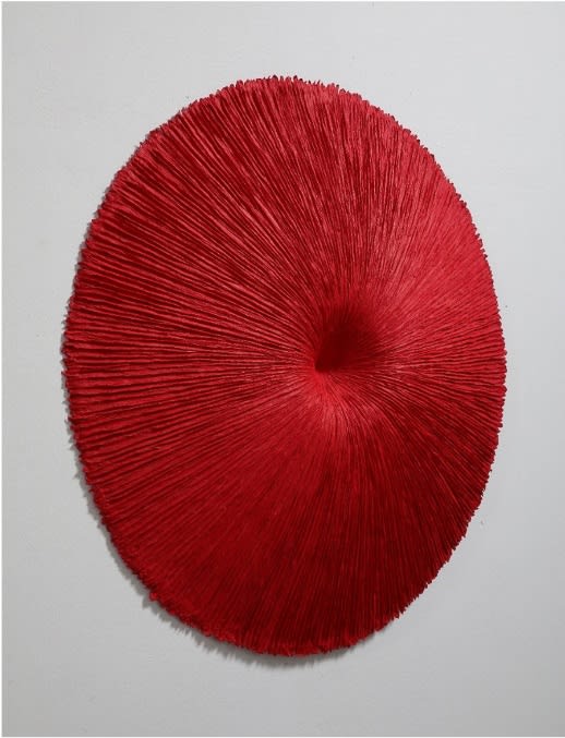 Heekyung Kim, Bloom