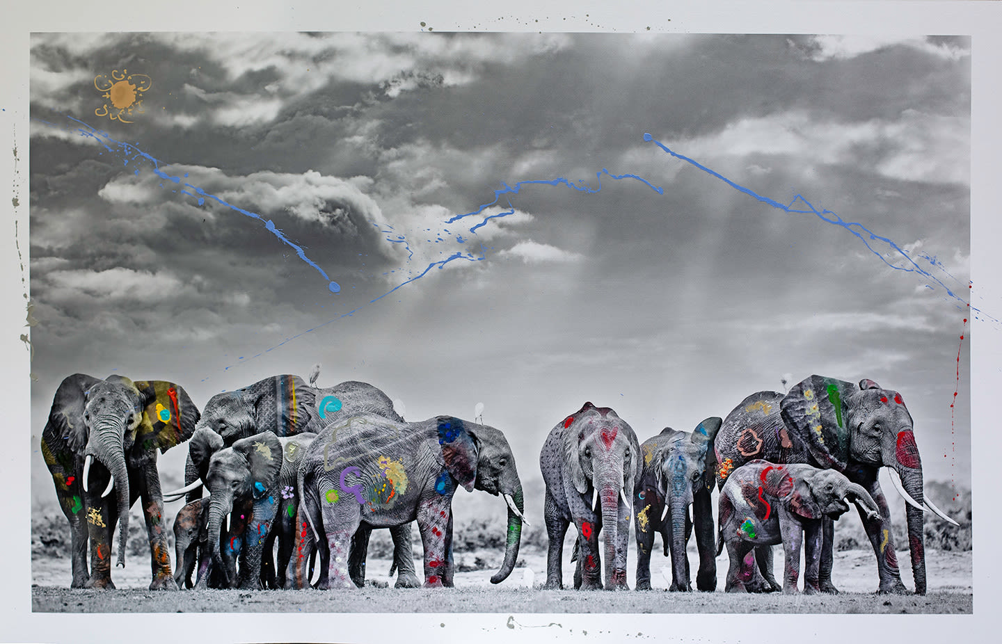Arno Elias, Nine Elephants