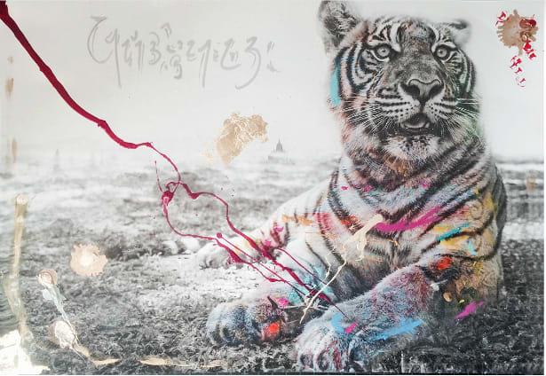 Arno Elias, Le Tigre