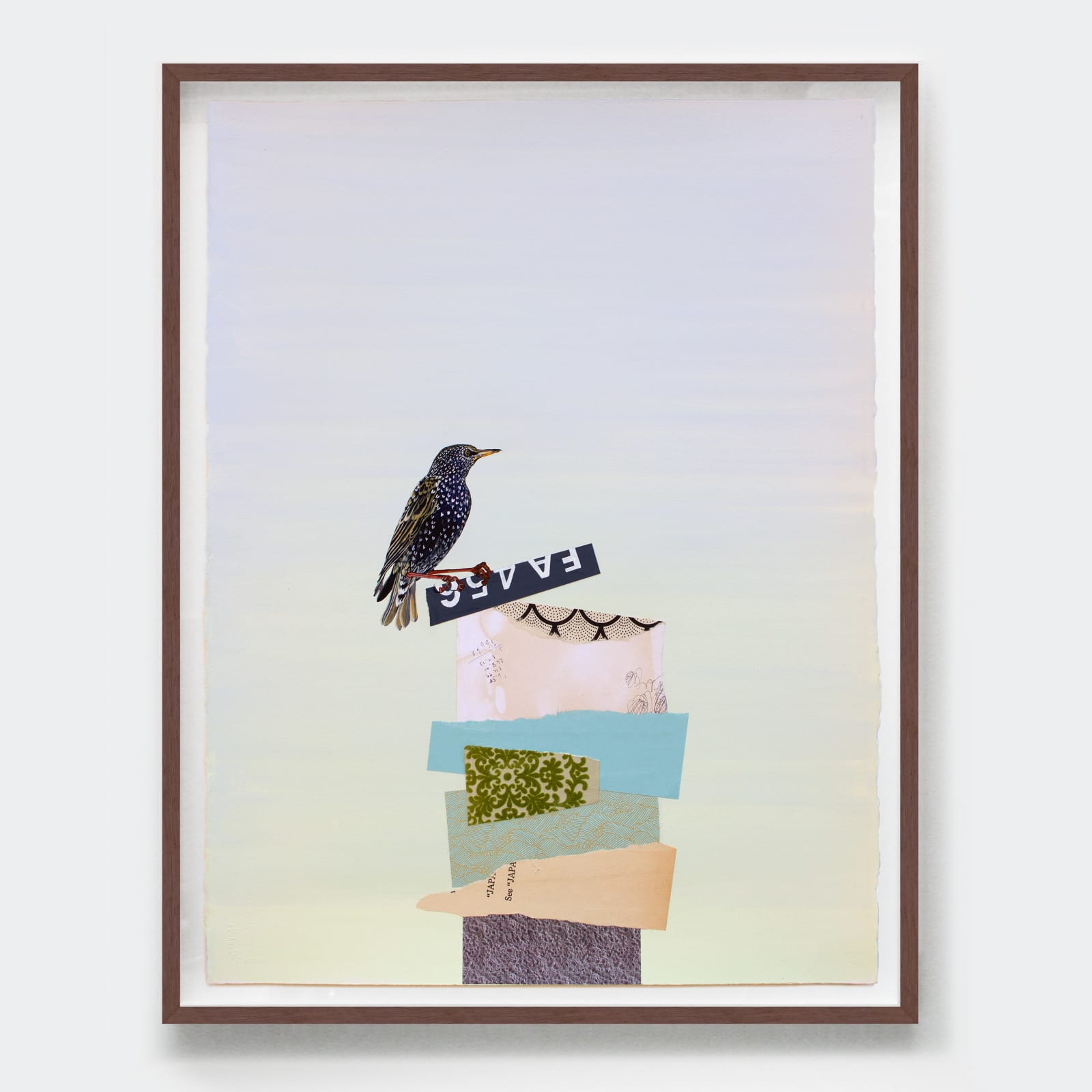 Lauren Matsumoto, Fall No. 11, 2019