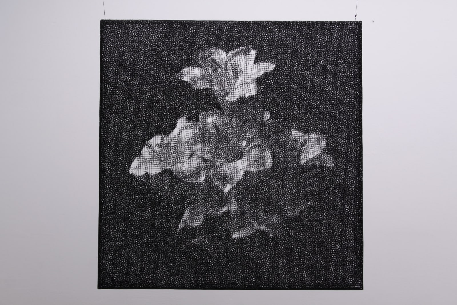 Seungmo Park, maya7343, 2014