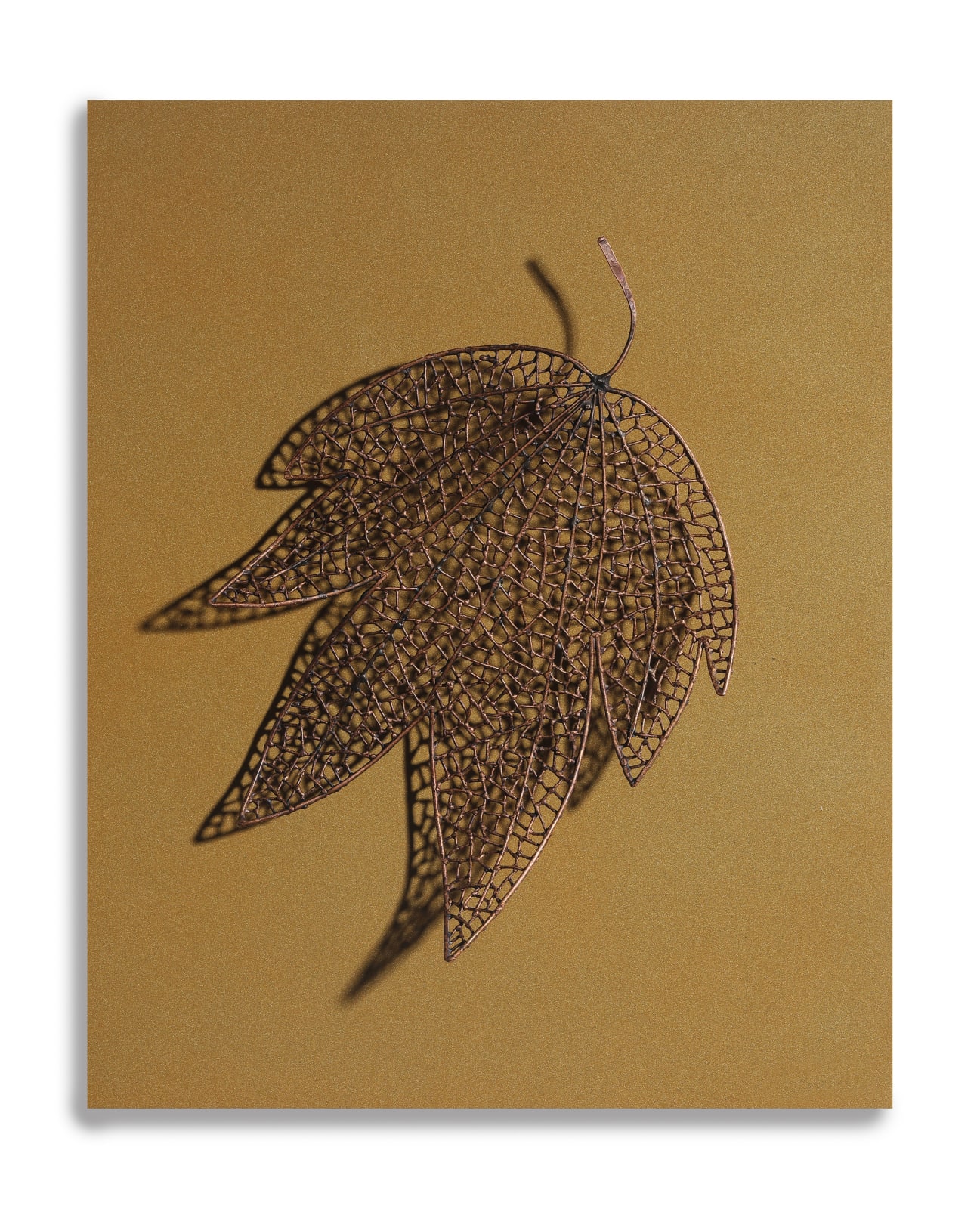 Byungjin Kim, Double Drawing (190304), 2019