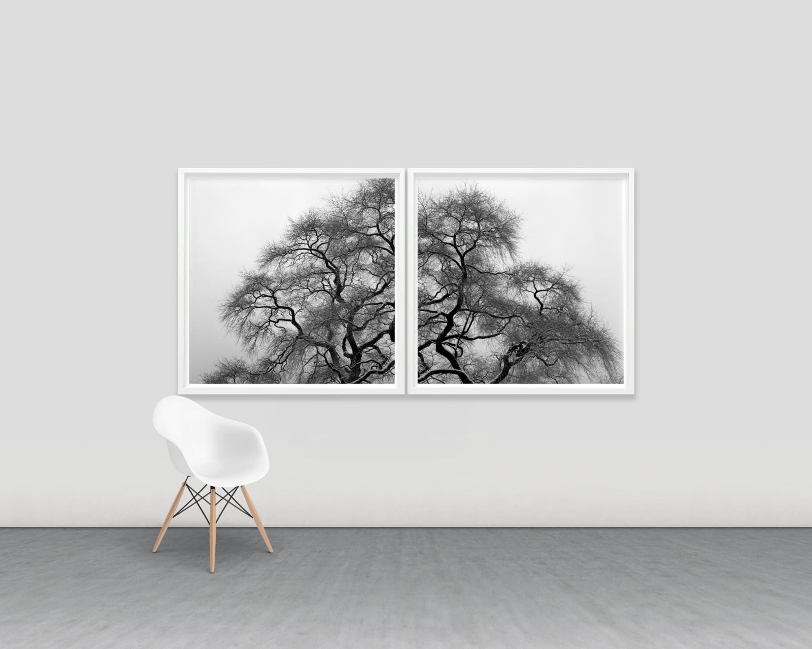 Woongchul An, Winter Tree, Korea