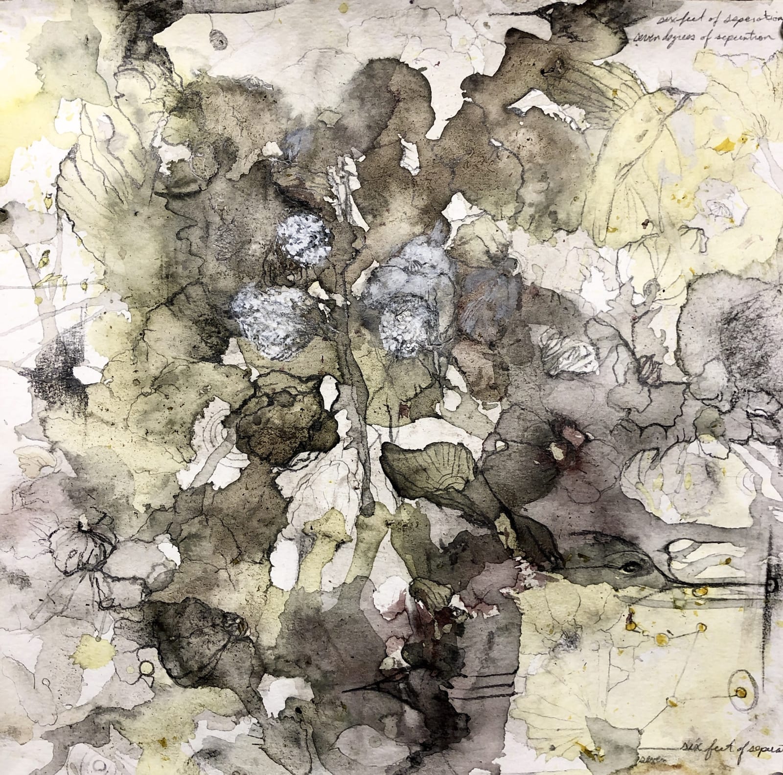 Antoinette Wysocki, Six Feet and Seven Degrees of Separation, 2020