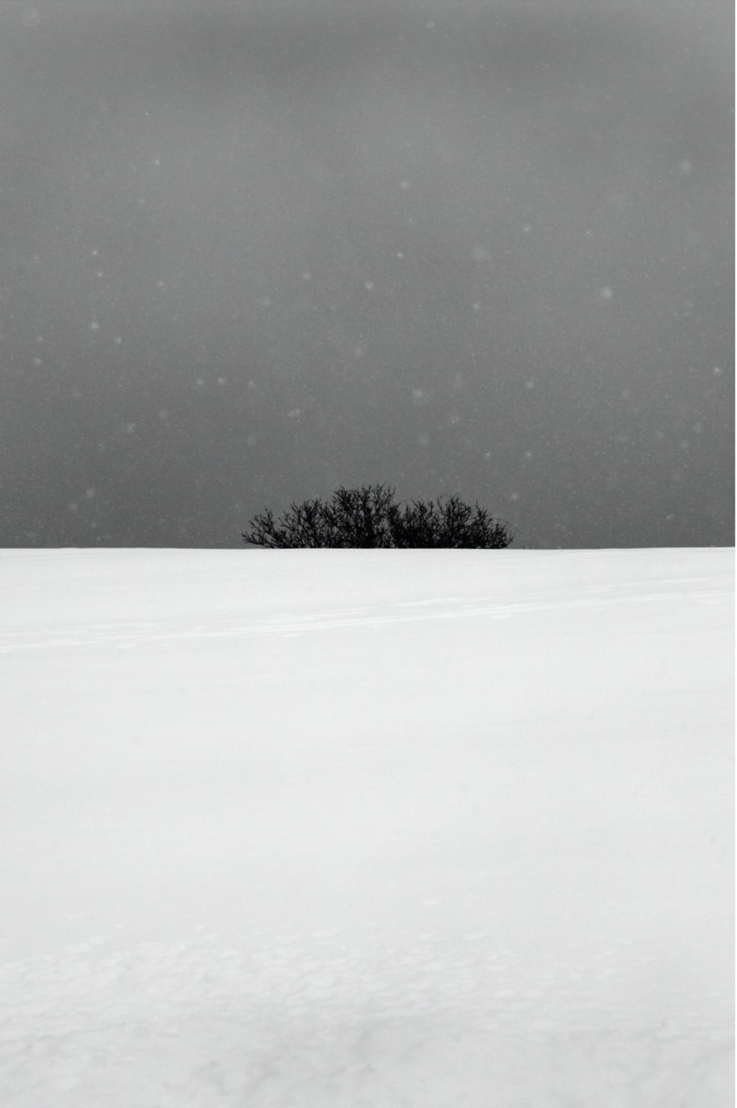 Woongchul An, Portland, Maine, USA