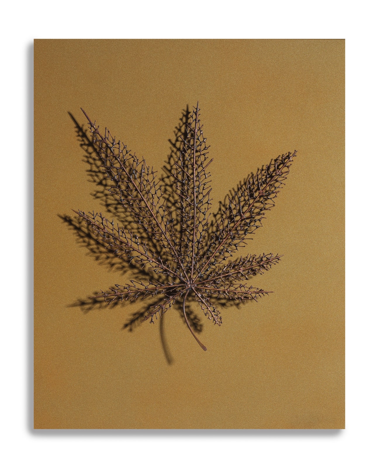 Byungjin Kim, Double Drawing (190309), 2019
