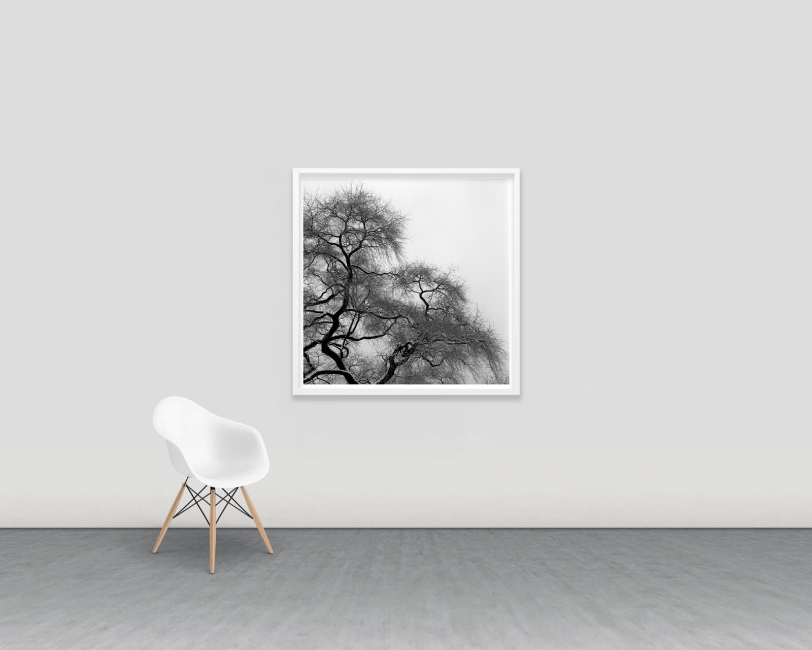 Woongchul An, Winter Tree, Korea