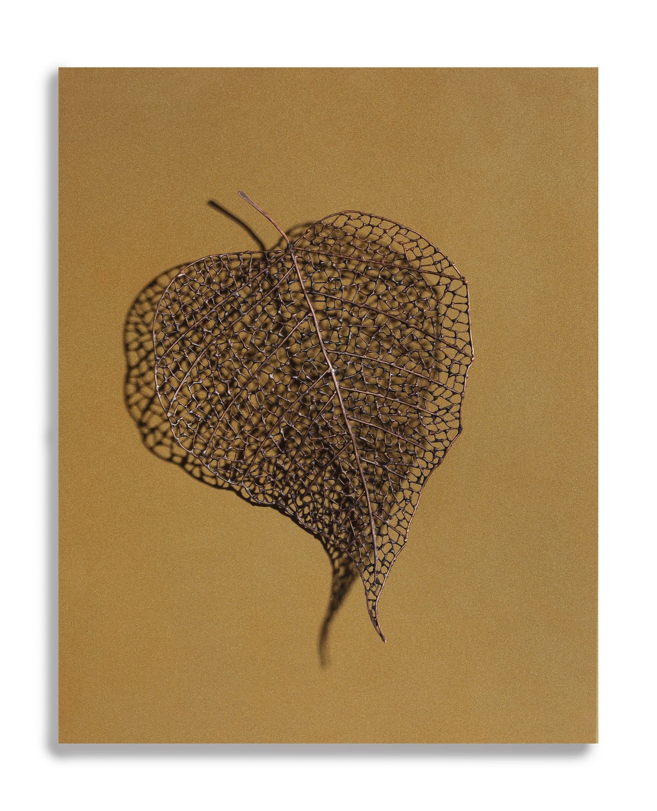 Byungjin Kim, Double Drawing (190311), 2019
