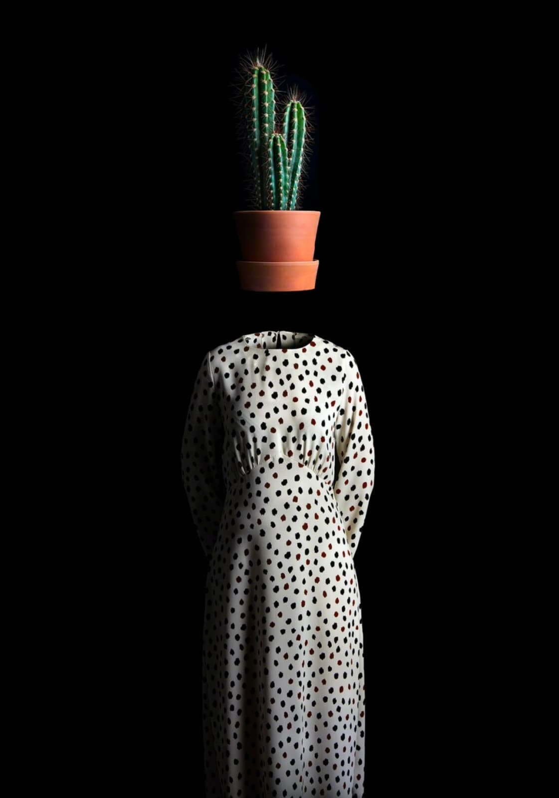Miguel Vallinas, No. 16 (Ceci N'est Pas Épines d'un Cactus)