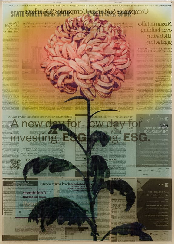 Martijn Hesseling, Flowers II - Amber