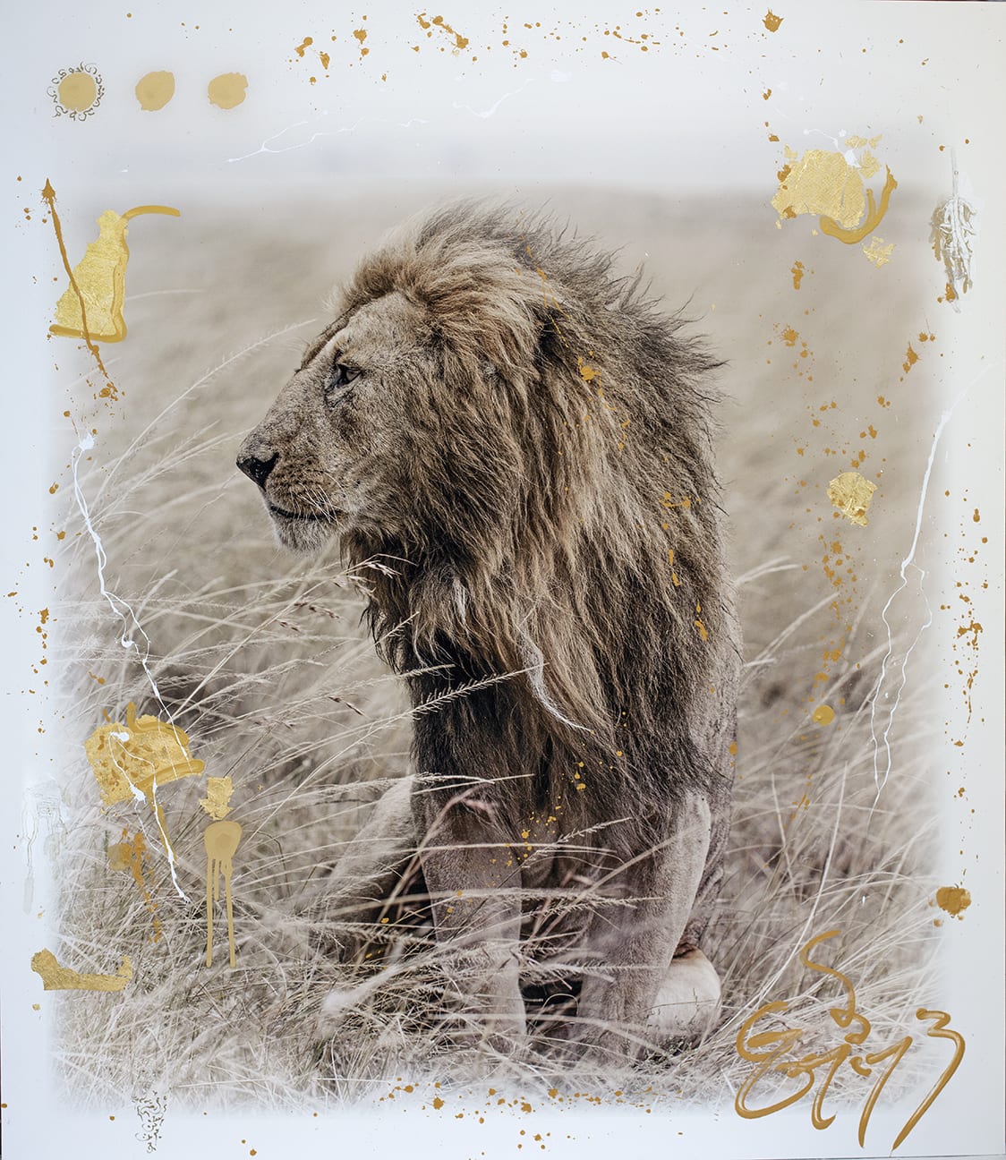 Arno Elias, Simba Gold