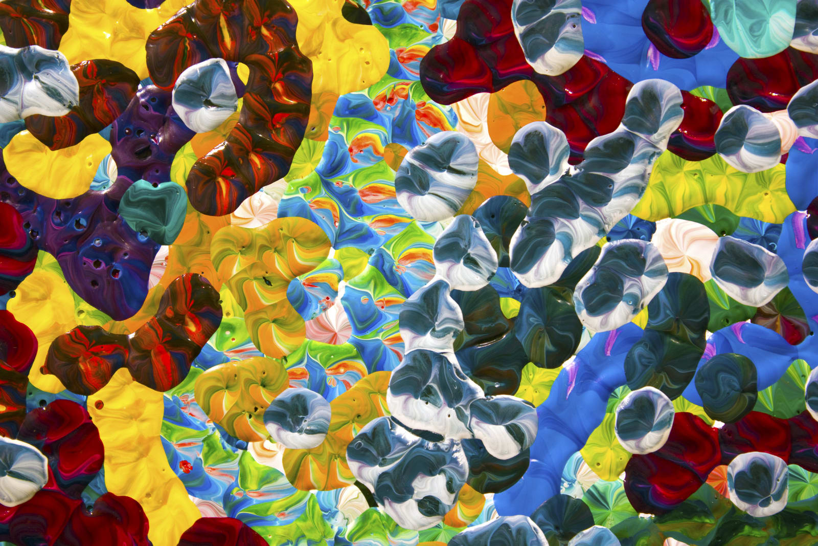 Gregory Hayes, 2nd Amalgamation, 2012