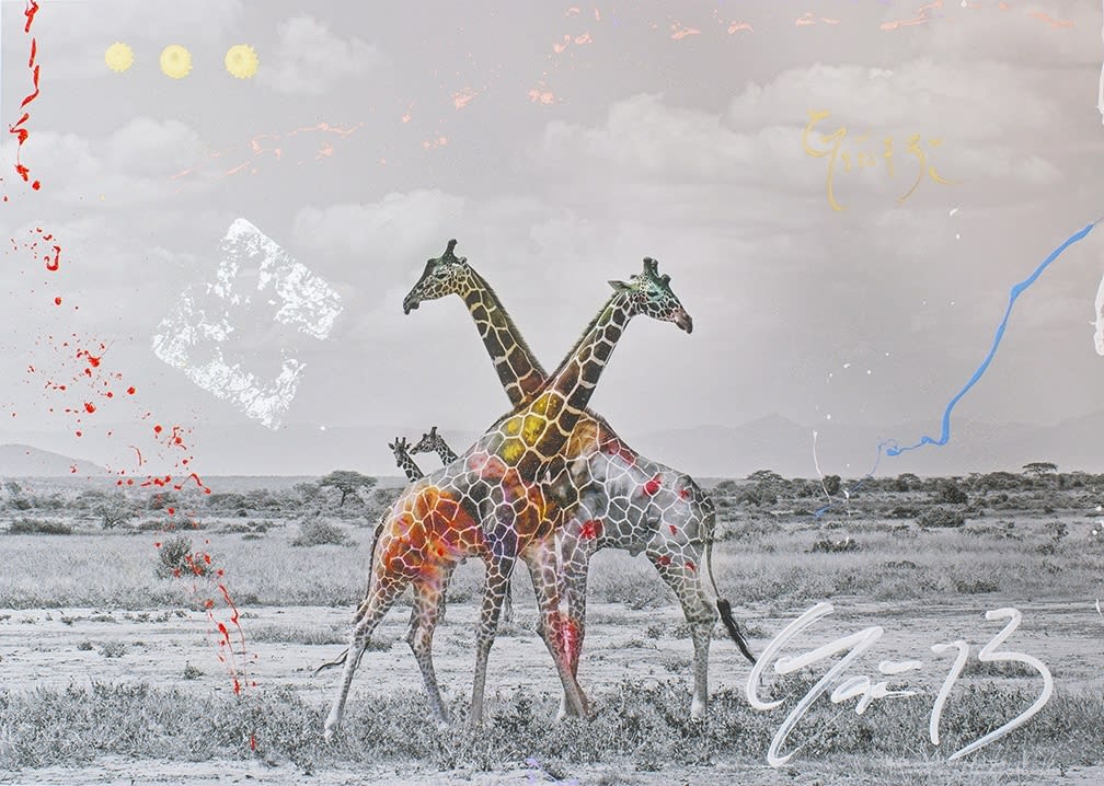 Arno Elias, Giraffe Duet