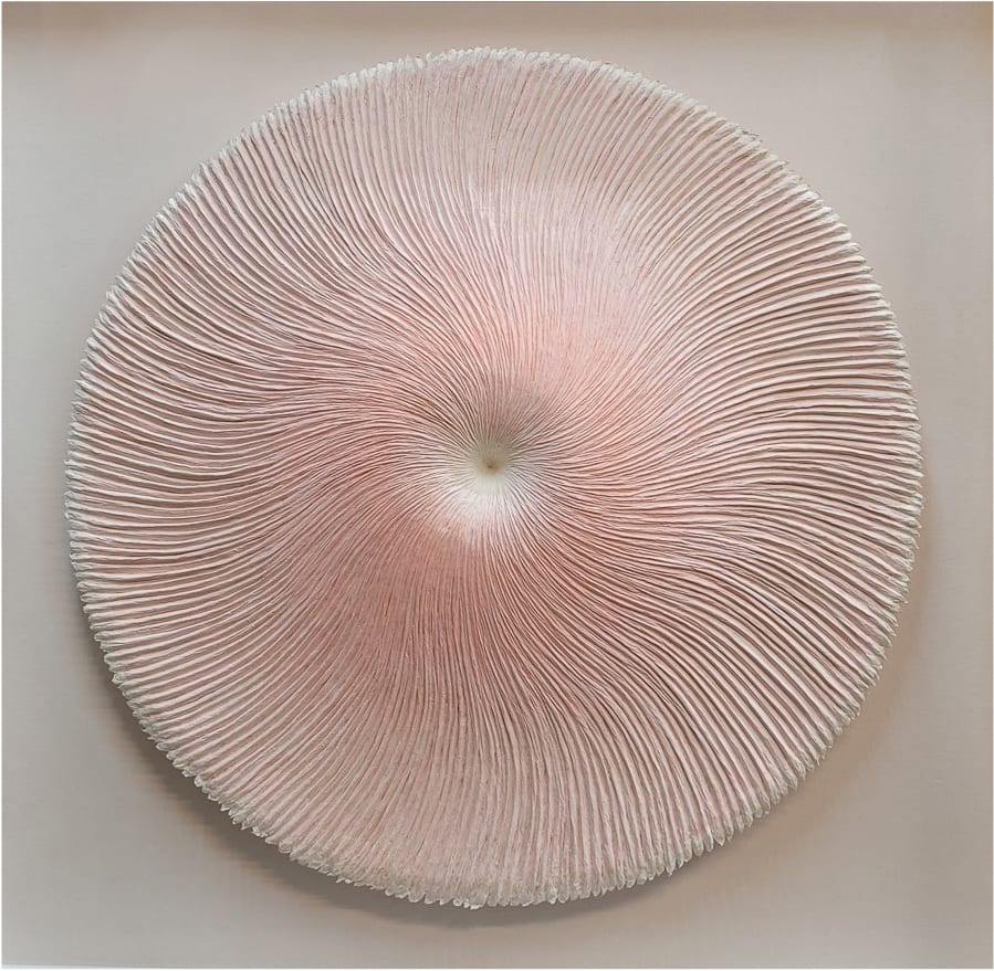 Heekyung Kim, Bloom 210405, 2021