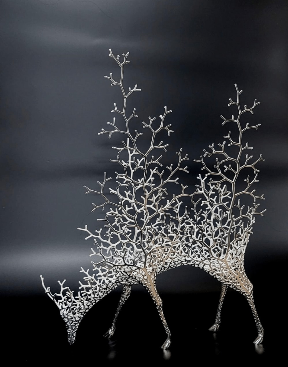 Kang Dong Hyun, The Forest of Coexistence 23-1, 2023