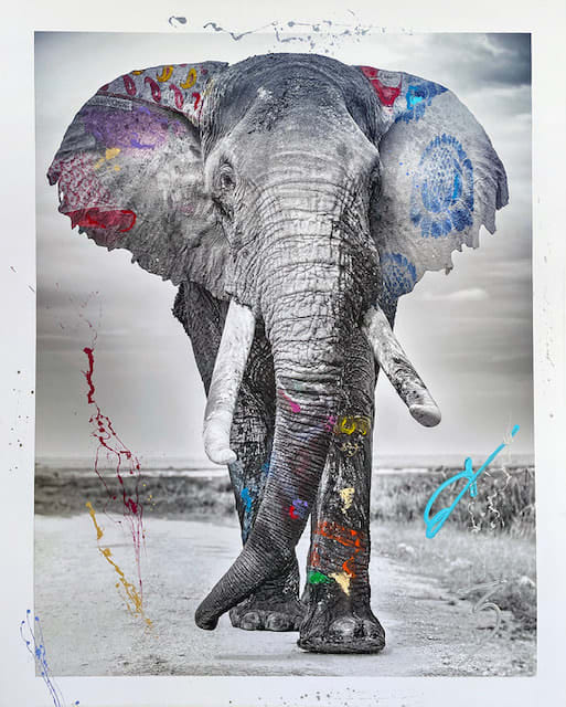 Hand-embelished archival print animal photography