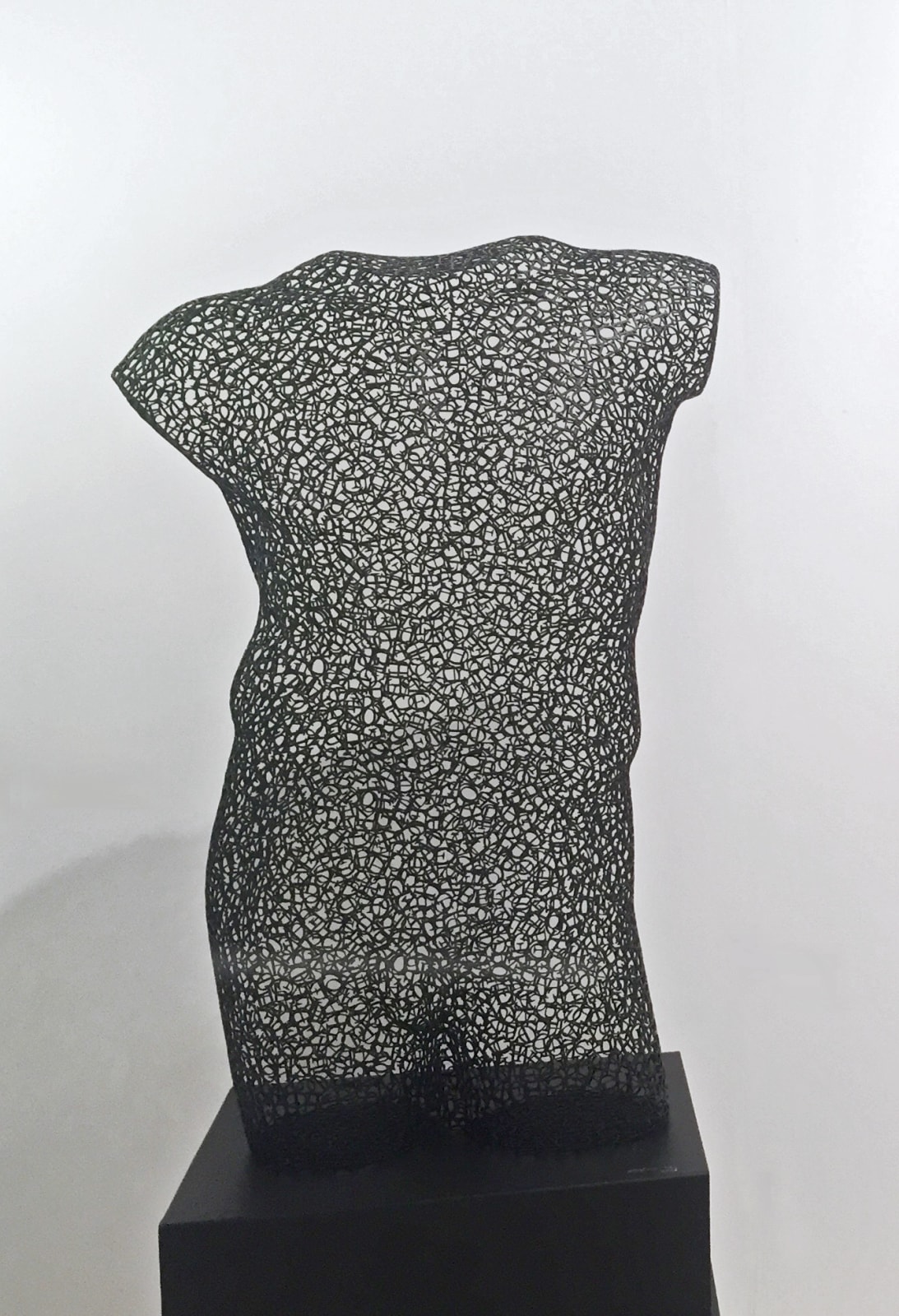 Byungjin Kim, Torso-Hope, 2016