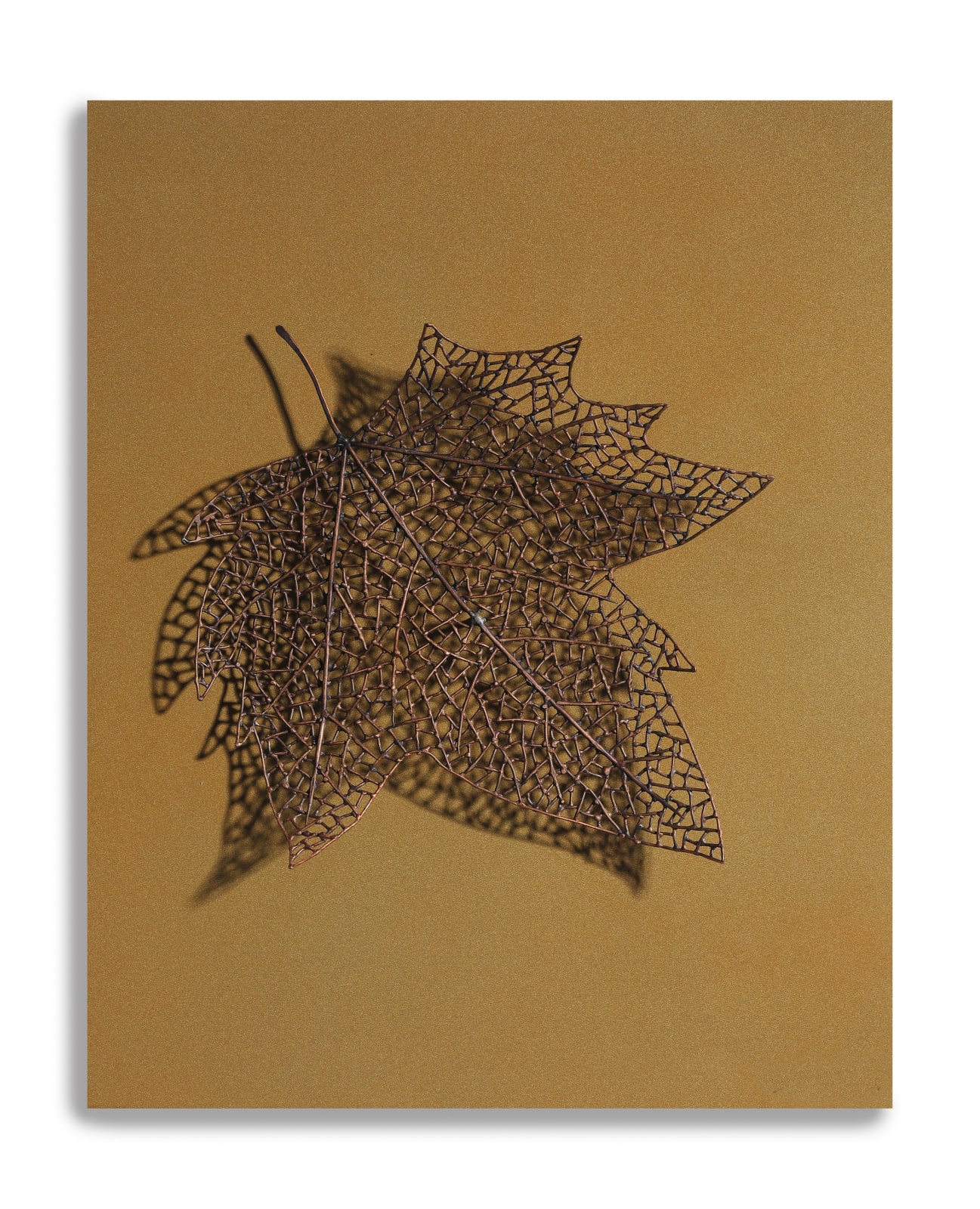 Byungjin Kim, Double Drawing (190313), 2019