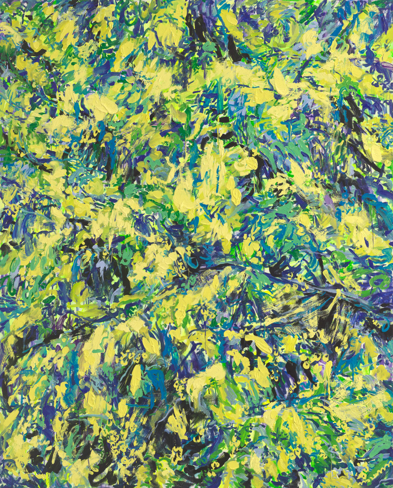 Boree Hur, Acacia Abstract, 2022
