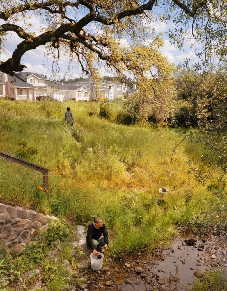 Larry Sultan, Creek, Santa Rosa, 2007