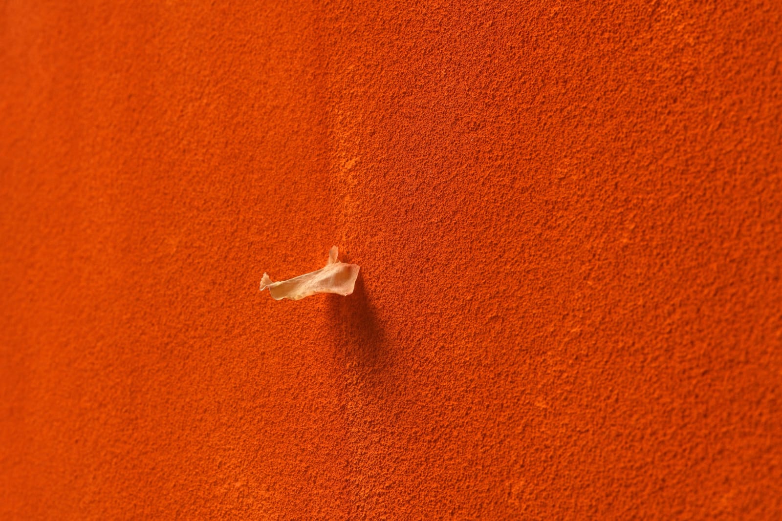Pier Paolo Calzolari, Untitled, 2021